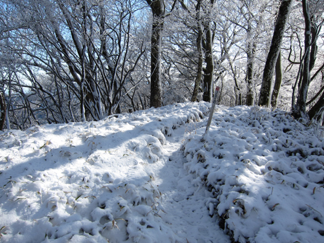 20191129hike (315)